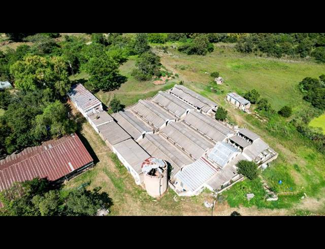 FARM FOR SALE IN ESTCOURT RURAL